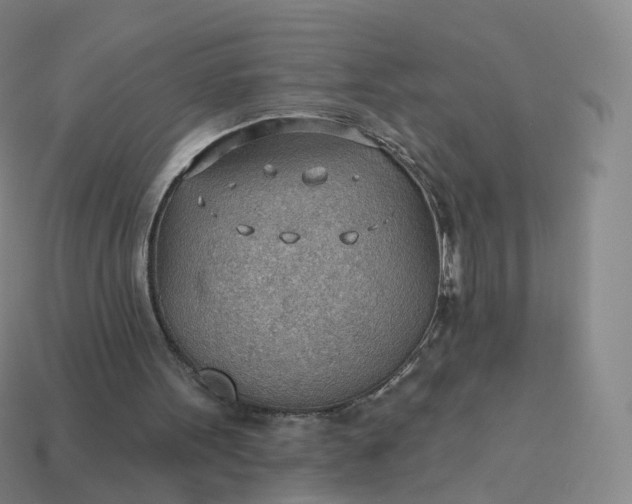 X0000113900099200910081837