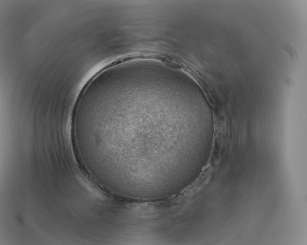 X0000113900100200910081837