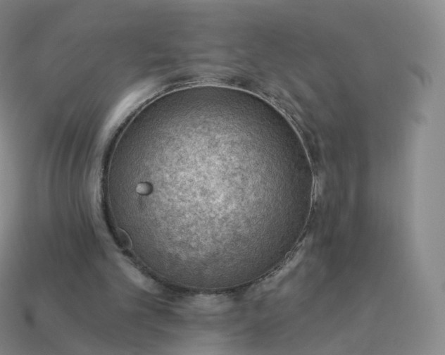 X0000113900101200910081837