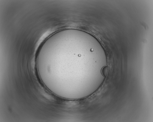 X0000113900102200910081837