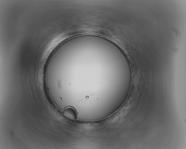 X0000113900103200910081837