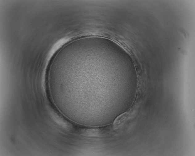 X0000113900104200910081837