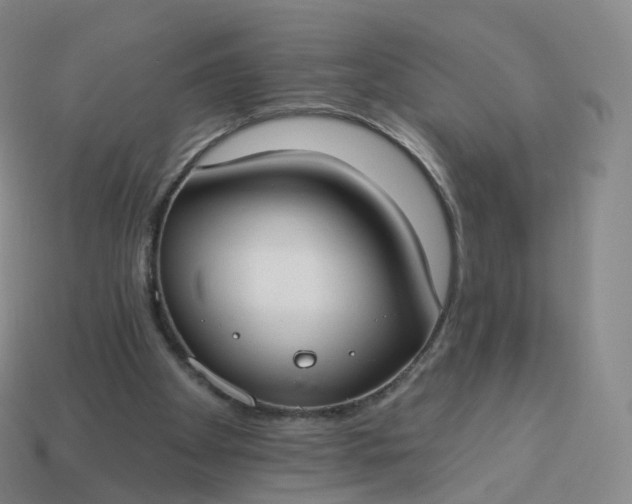 X0000113900105200910081837