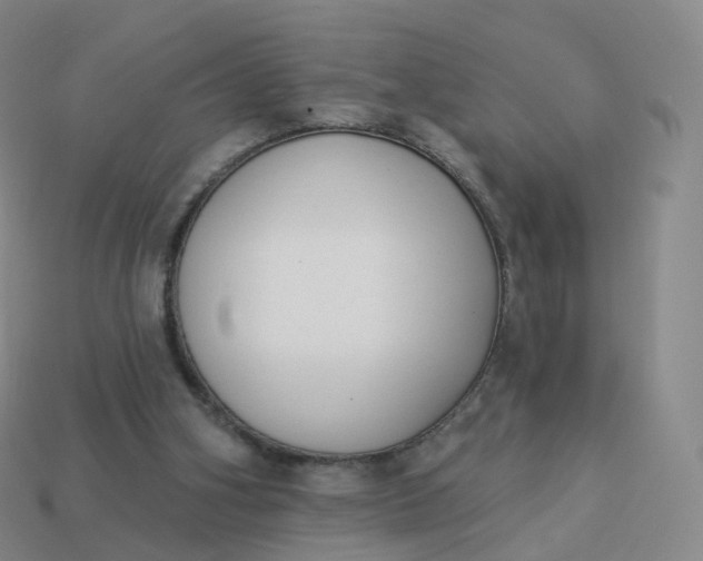 X0000113900106200910081837