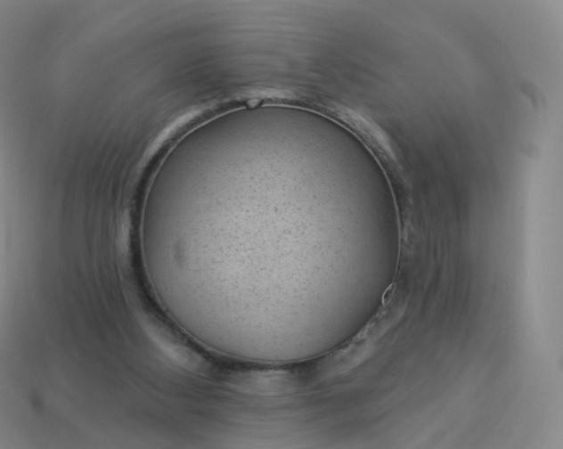 X0000113900108200910081837