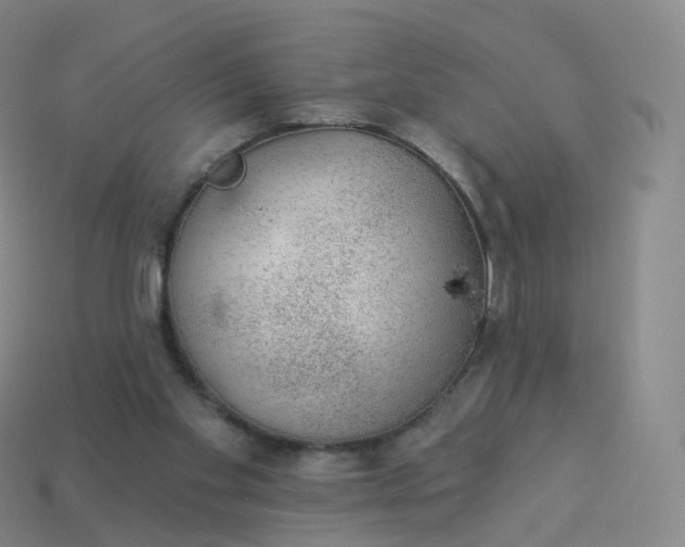 X0000113900109200910081837