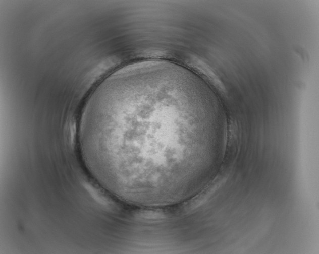 X0000113900110200910081837