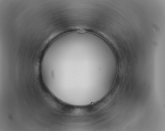 X0000113900111200910081837