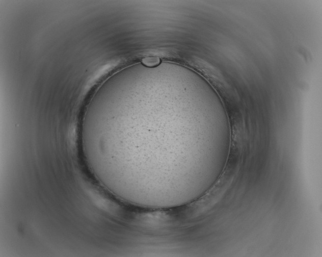 X0000113900112200910081837