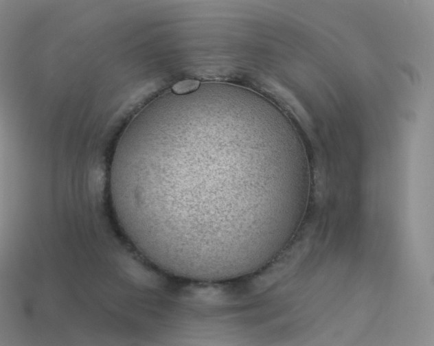 X0000113900113200910081837