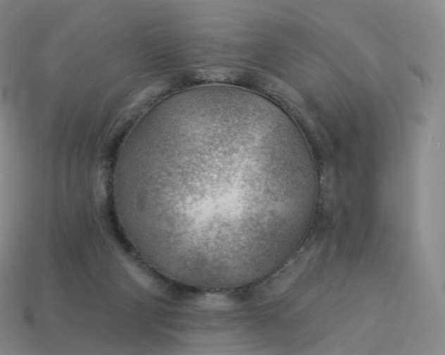 X0000113900114200910081837