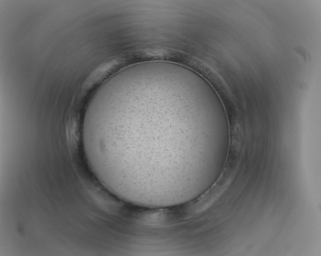 X0000113900116200910081837