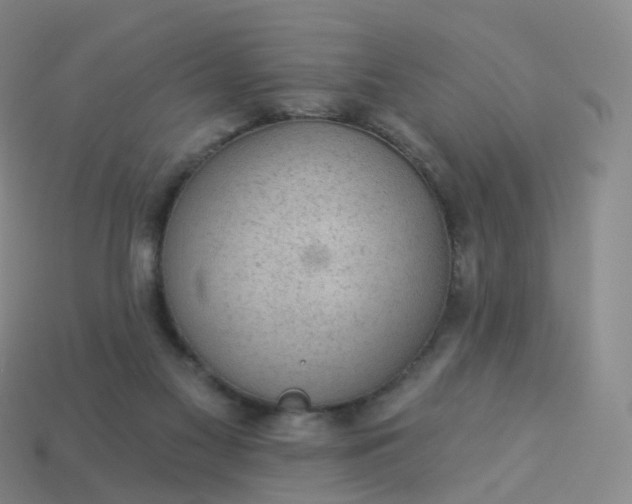 X0000113900117200910081837