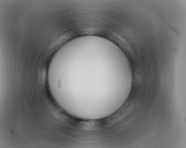 X0000113900118200910081837