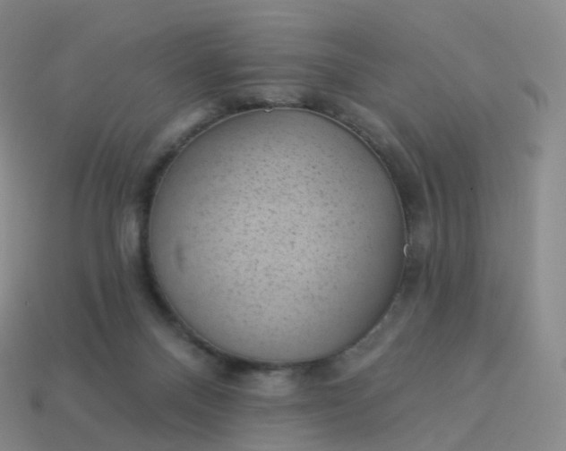 X0000113900120200910081837