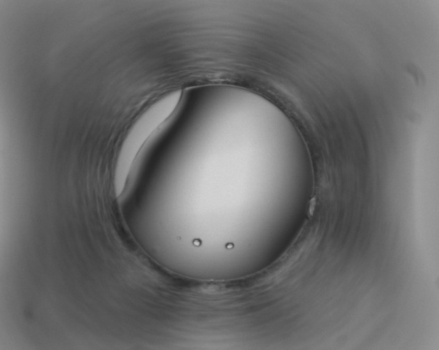 X0000113900121200910081837