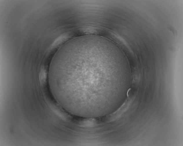 X0000113900124200910081837