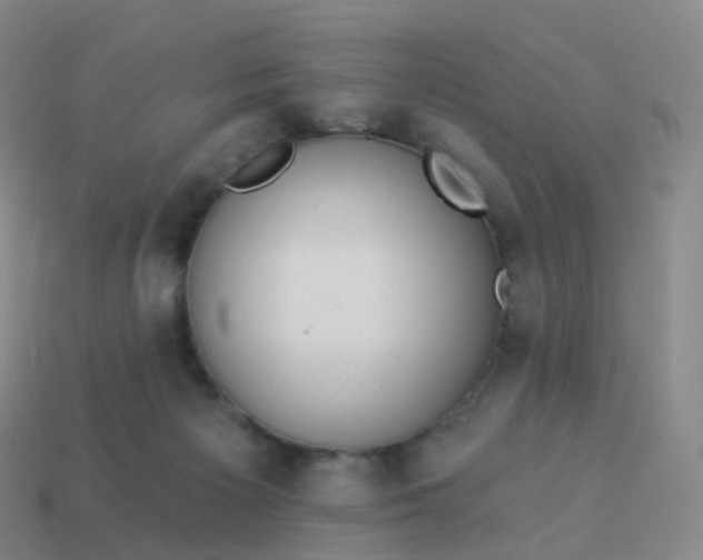 X0000113900125200910081837