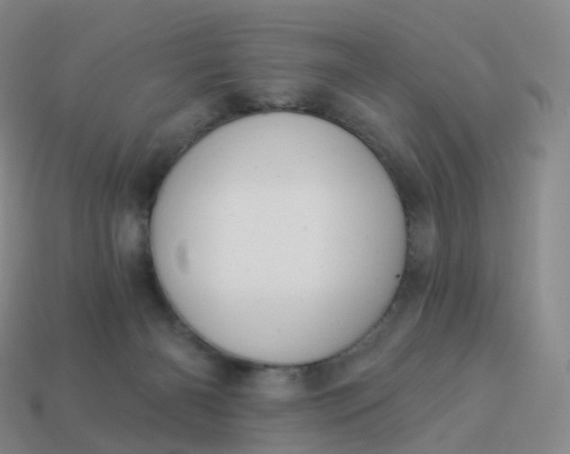 X0000113900126200910081837