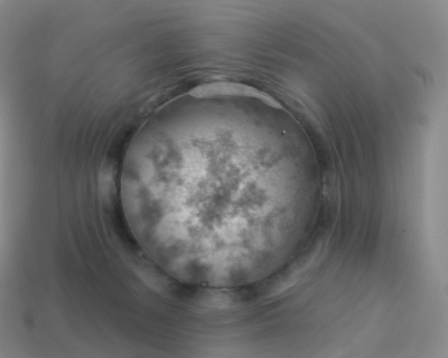 X0000113900127200910081837