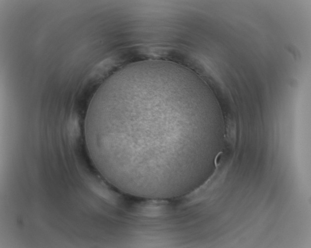 X0000113900128200910081837