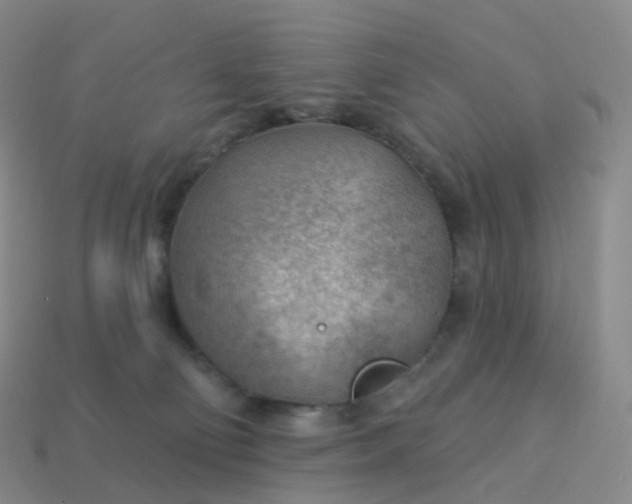 X0000113900130200910081837