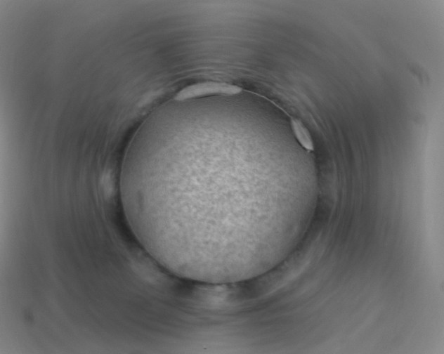 X0000113900131200910081837