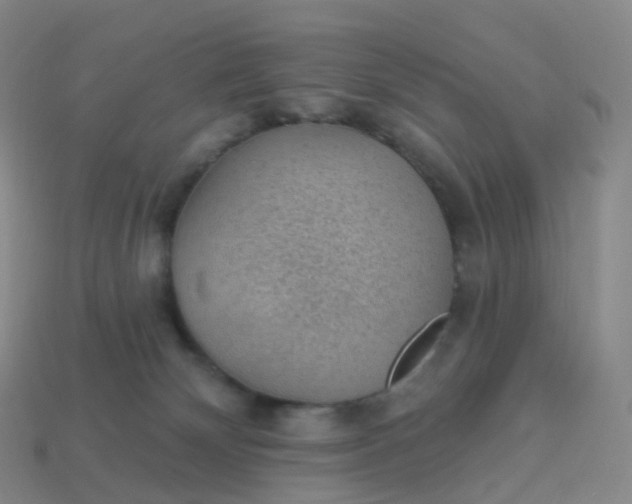 X0000113900132200910081837