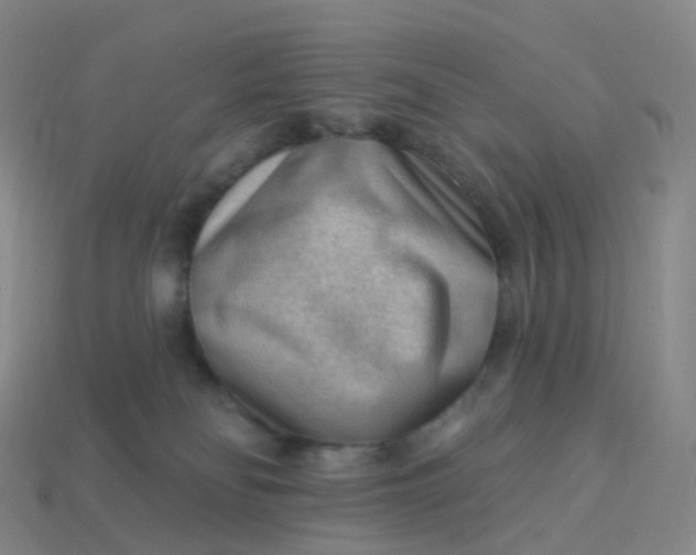 X0000113900134200910081837