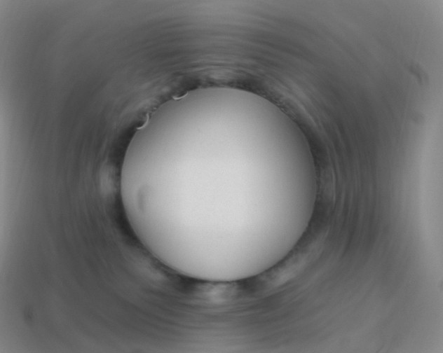 X0000113900135200910081837