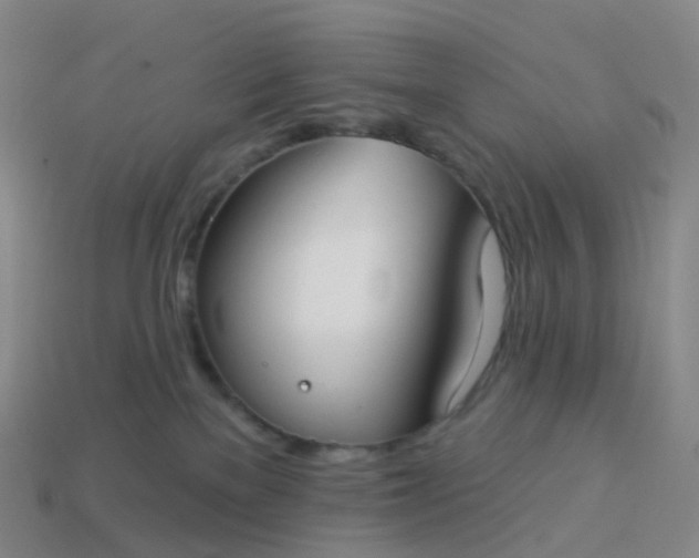 X0000113900137200910081837