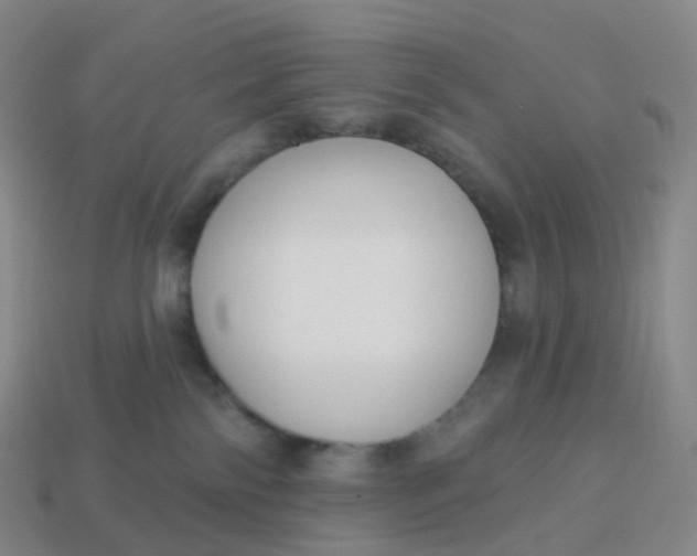 X0000113900138200910081837