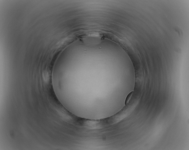 X0000113900139200910081837