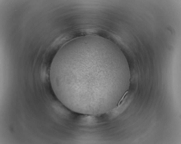 X0000113900140200910081837