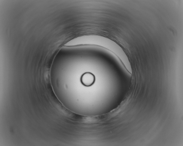 X0000113900141200910081837