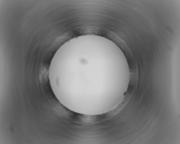 X0000113900142200910081837