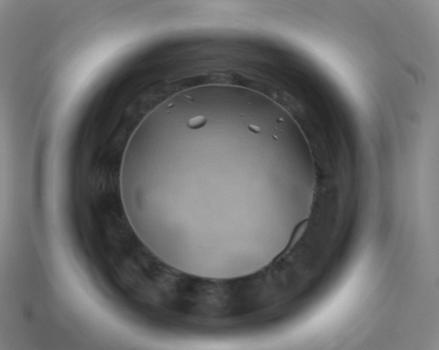 X0000113900143200910081837