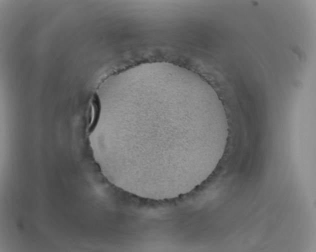 X0000113900144200910081837