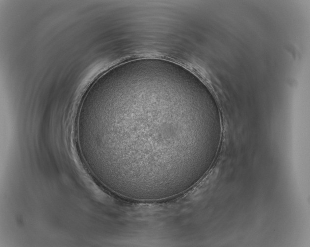 X0000113900145200910081836