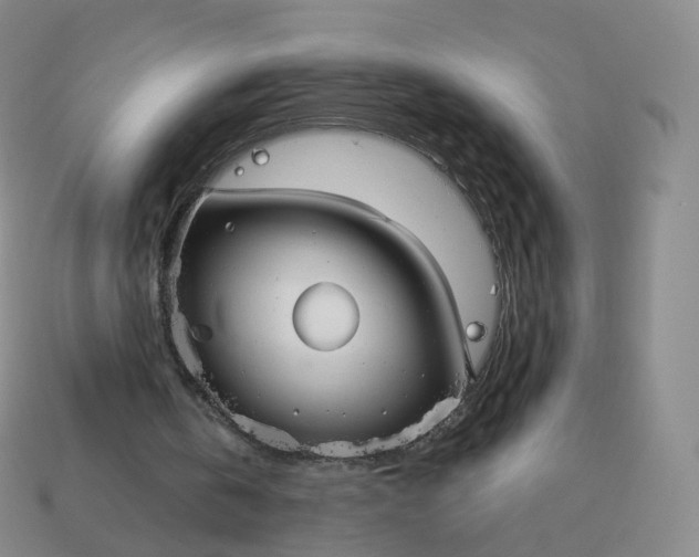 X0000113900146200910081836