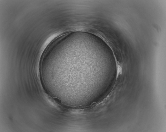 X0000113900147200910081836