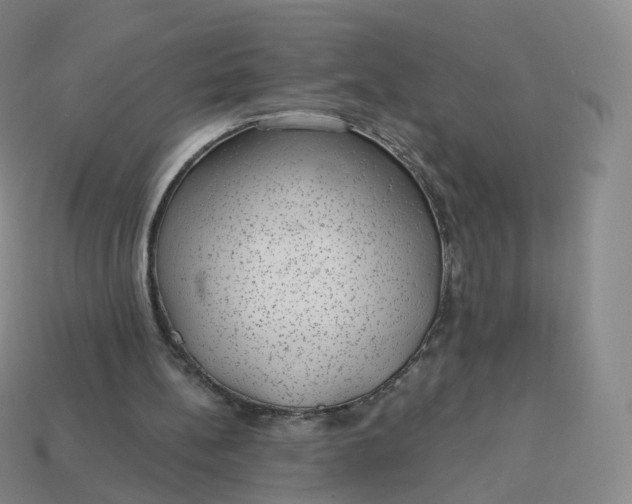 X0000113900148200910081836