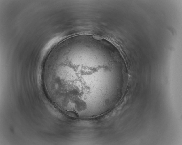 X0000113900149200910081836