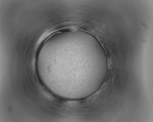 X0000113900150200910081836