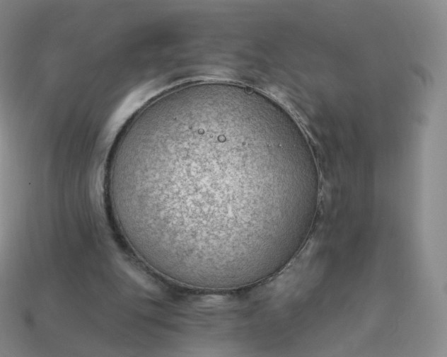 X0000113900151200910081836