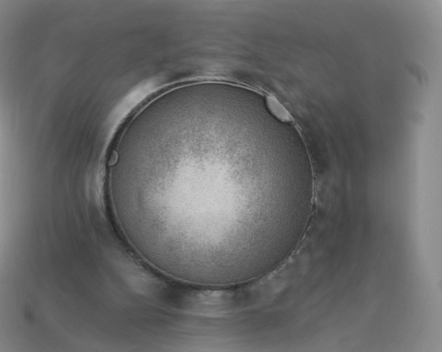 X0000113900152200910081836