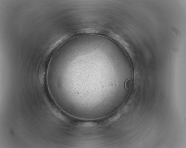 X0000113900153200910081836