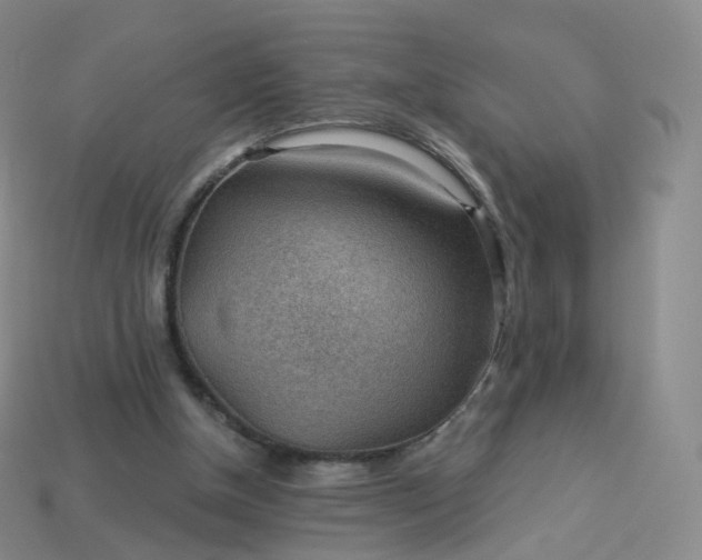 X0000113900154200910081836