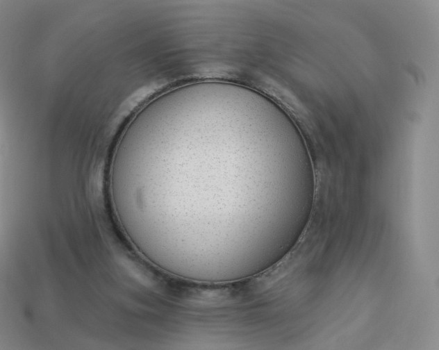 X0000113900155200910081836