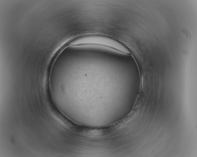 X0000113900156200910081836